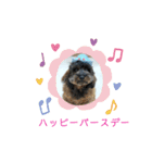 さとうあずきスタンプ（個別スタンプ：11）