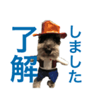 シュナウザーのジョバンヌ君第2弾(ほぼ顔)（個別スタンプ：20）
