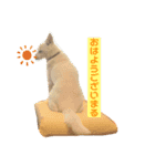 くのまる（個別スタンプ：1）