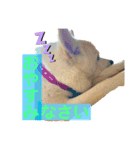 くのまる（個別スタンプ：2）