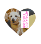 くのまる（個別スタンプ：3）