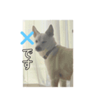 くのまる（個別スタンプ：4）
