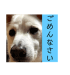 くのまる（個別スタンプ：5）