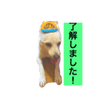 くのまる（個別スタンプ：7）
