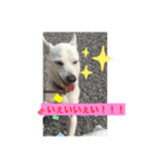 くのまる（個別スタンプ：8）