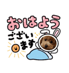 モカ（トイプードル）（個別スタンプ：1）