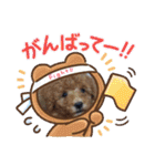 モカ（トイプードル）（個別スタンプ：12）