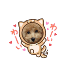モカ（トイプードル）（個別スタンプ：19）