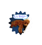 モカ（トイプードル）（個別スタンプ：37）