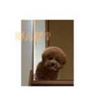 どっくず（個別スタンプ：7）