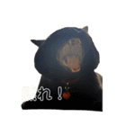 どっくず（個別スタンプ：12）
