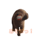 どっくず（個別スタンプ：13）