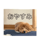 どっくず（個別スタンプ：15）