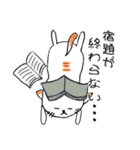 みかんニャンと仲間たち夏編（個別スタンプ：8）