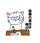 みかんニャンと仲間たち夏編（個別スタンプ：14）