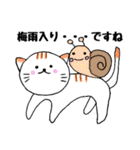 みかんニャンと仲間たち夏編（個別スタンプ：19）