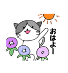 みかんニャンと仲間たち夏編（個別スタンプ：20）