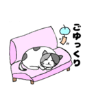 みかんニャンと仲間たち夏編（個別スタンプ：24）