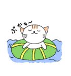 みかんニャンと仲間たち夏編（個別スタンプ：39）
