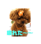 25.Hana（個別スタンプ：6）