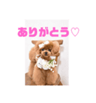 25.Hana（個別スタンプ：7）