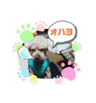 アイノスタンプ（個別スタンプ：1）