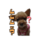 アイノスタンプ（個別スタンプ：5）