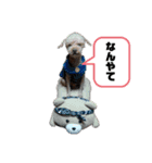 アイノスタンプ（個別スタンプ：6）
