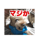 アイノスタンプ（個別スタンプ：8）