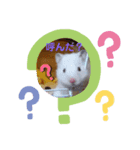 椿とコットン（個別スタンプ：2）