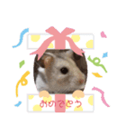 椿とコットン（個別スタンプ：4）