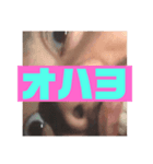 はがまき（個別スタンプ：5）
