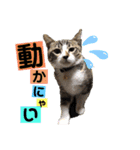 マッド君オリジナル2（個別スタンプ：14）