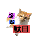 マッド君オリジナル2（個別スタンプ：15）