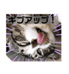 マッド君オリジナル2（個別スタンプ：17）