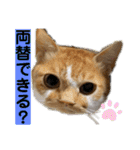 マッド君オリジナル2（個別スタンプ：18）