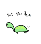 それでいい亀（個別スタンプ：4）