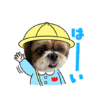 シーズー犬ぽぽ7（個別スタンプ：3）
