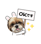 シーズー犬ぽぽ7（個別スタンプ：4）