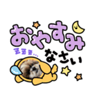 シーズー犬ぽぽ7（個別スタンプ：8）