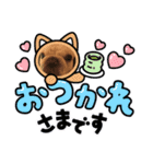 フレンチブルドックのビーム（個別スタンプ：2）
