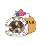 チワンズ3（個別スタンプ：5）