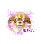 チワンズ3（個別スタンプ：9）