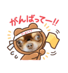 チワンズ3（個別スタンプ：11）