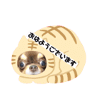 チワンズ3（個別スタンプ：12）