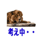 群馬サファリパーク 公式スタンプ vol.01（個別スタンプ：10）