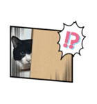 ハチ割れクロちゃんの日常（個別スタンプ：17）
