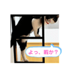 ハチ割れクロちゃんの日常（個別スタンプ：25）