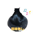 ハチ割れクロちゃんの日常（個別スタンプ：31）