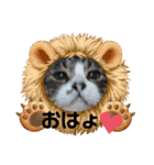 たぬきなたつきくん（個別スタンプ：7）